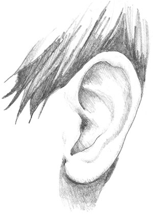 300x419 Drawing Realistic Ears - Ear Drawing