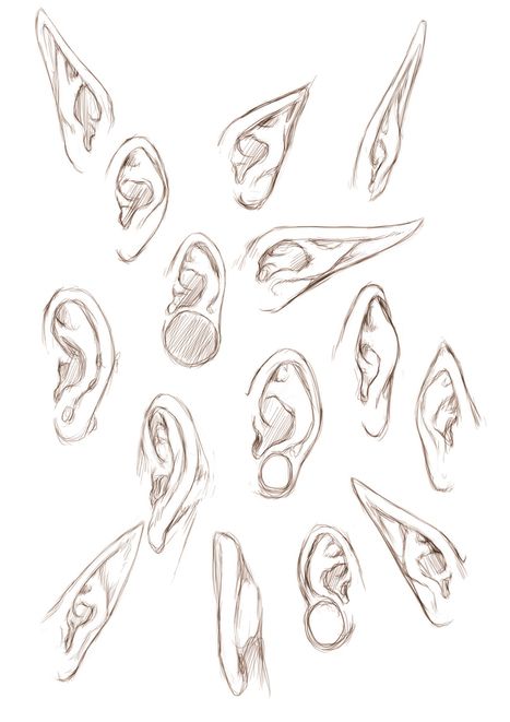 467x661 ear drawing reference drawing references and resources scoop - Ear Drawing Reference