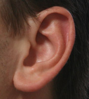 181x200 How To Draw Ears Stan Prokopenko's Blog - Ear Drawing Reference