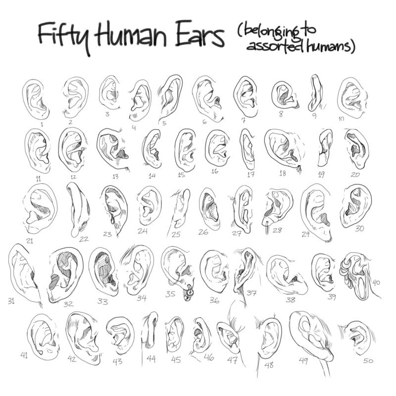 Ear Drawing Reference at PaintingValley.com | Explore collection of Ear ...