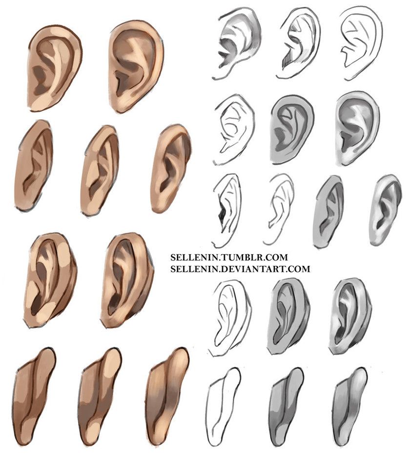 838x953 About Time To Remember How To Draw Ears Tumblr Facebook Other - Ear Drawing Reference