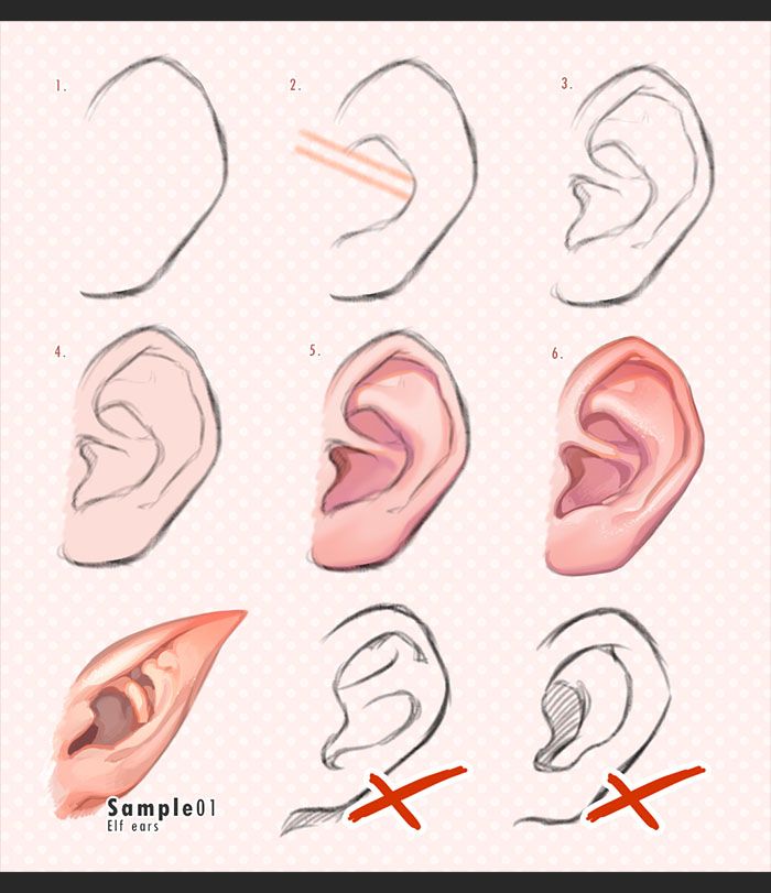 Ear Drawing Reference at PaintingValley.com | Explore collection of Ear