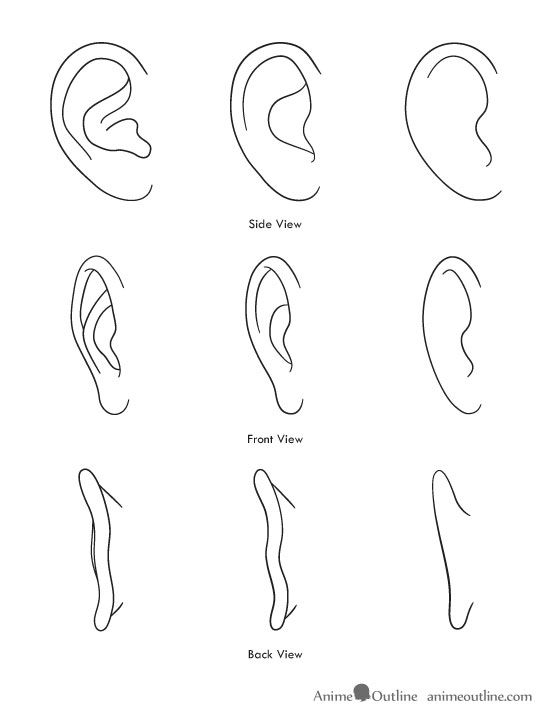 560x720 Animemanga And Realistic Ears - Ear Drawing Reference