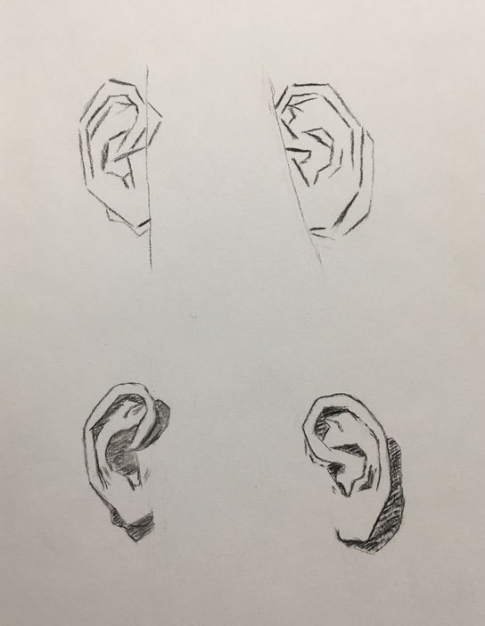 544x701 Bargue Plate Ears In Charcoal And Other Works - Ear Drawing Reference