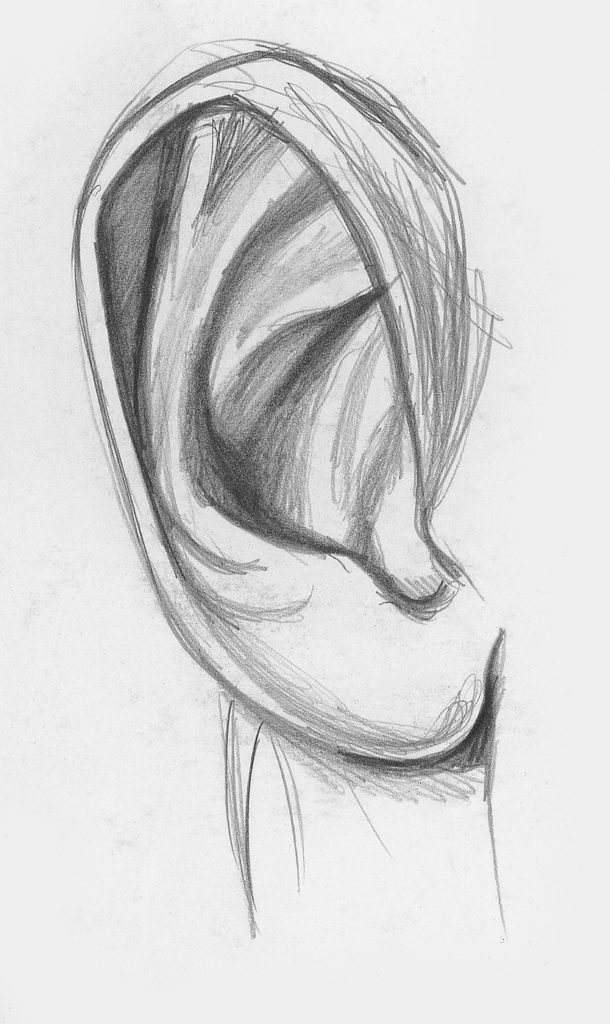  Ear Line Drawing at PaintingValley.com Explore collection of Ear Line 