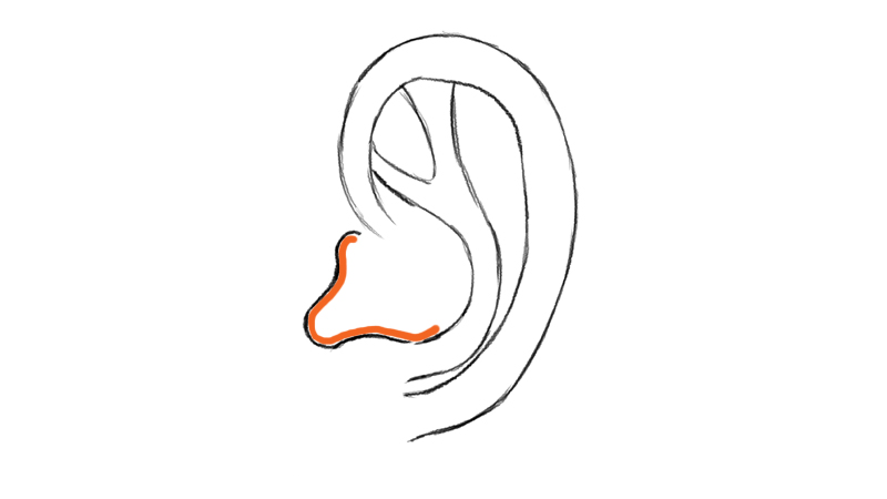 Ear Line Drawing at PaintingValley.com | Explore collection of Ear Line ...