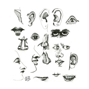 300x300 ear eye nose mouth drawing - Ear Line Drawing
