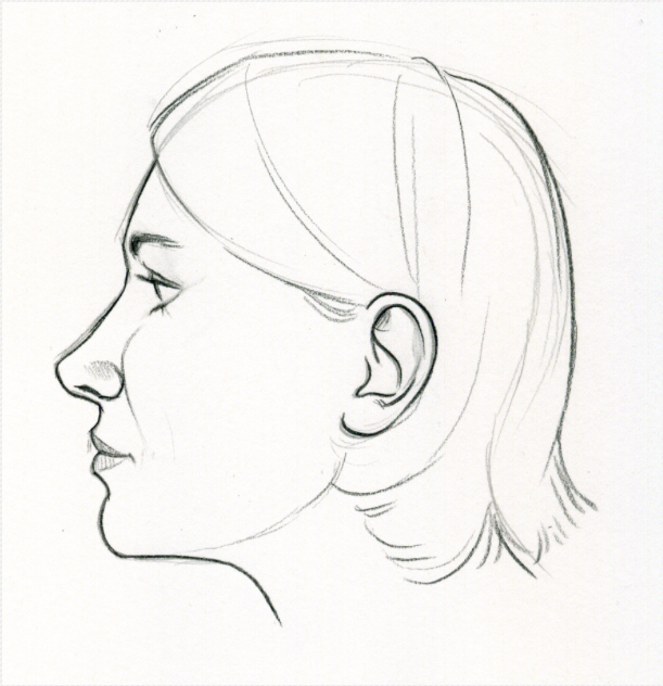 611x632 ear drawing free download - Ear Line Drawing