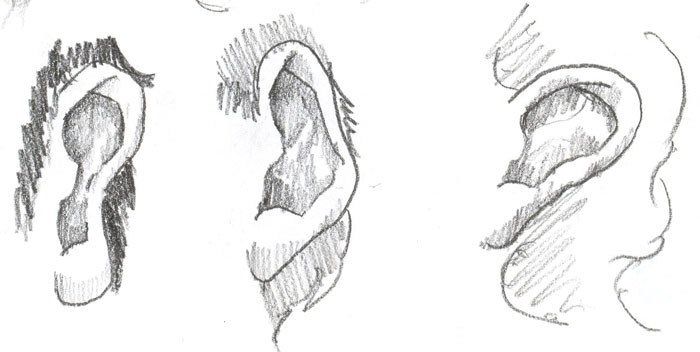 700x352 How To Draw Ears - Ear Line Drawing