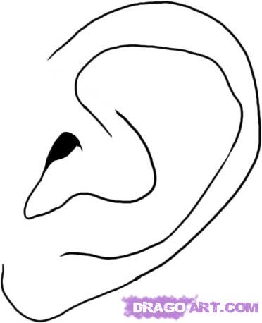 372x458 how to draw an ear, step - Ear Line Drawing