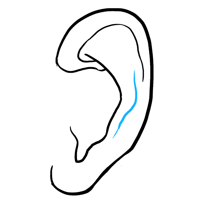 Ear Line Drawing at PaintingValley.com | Explore collection of Ear Line ...