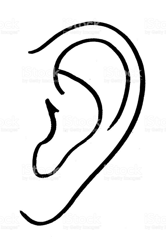 Ear Line Drawing at Explore collection of Ear Line