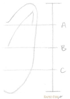 244x345 How To Draw An Ear From The Front Rapidfireart - Ear Line Drawing