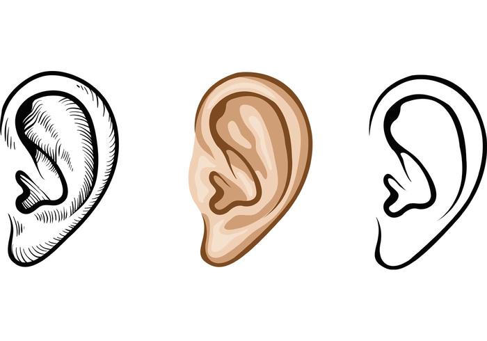 700x490 Human Ear Vectors - Ear Line Drawing