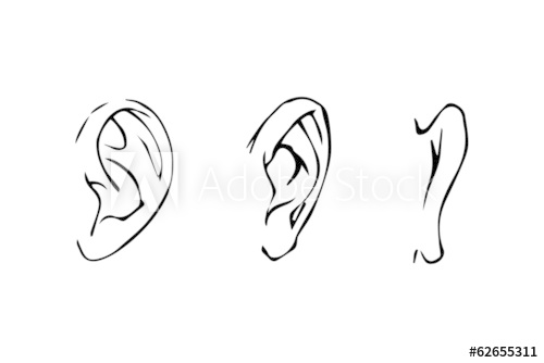 500x334 Line Drawing Of The Human Ear Side View, Front, Rear - Ear Line Drawing