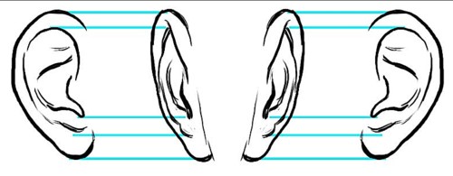 500x195 art now and then drawing and painting the human ear - Ear Line Drawing