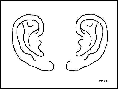 500x375 art now and then drawing and painting the human ear - Ear Line Drawing