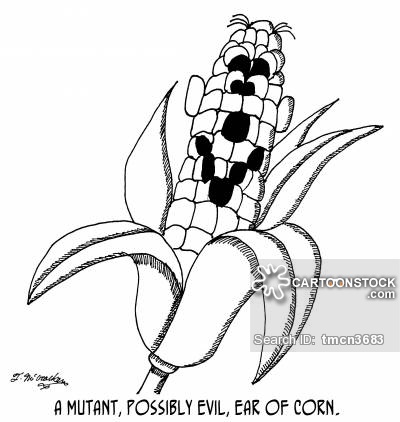 400x422 Ear Of Corn Cartoons And Comics - Ear Of Corn Drawing