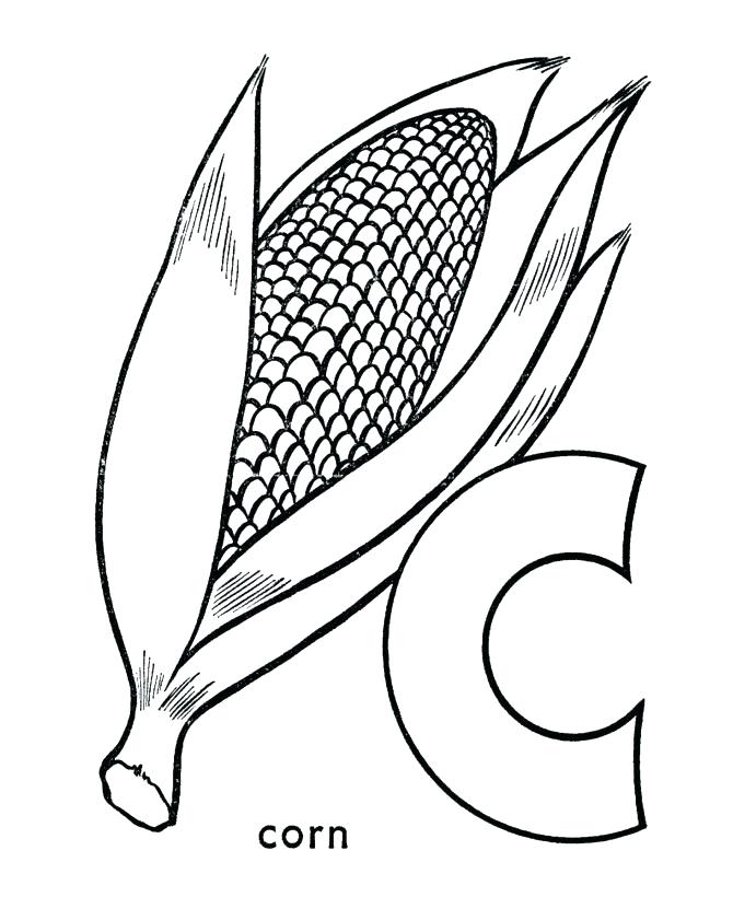 670x820 Ear Of Corn Coloring - Ear Of Corn Drawing