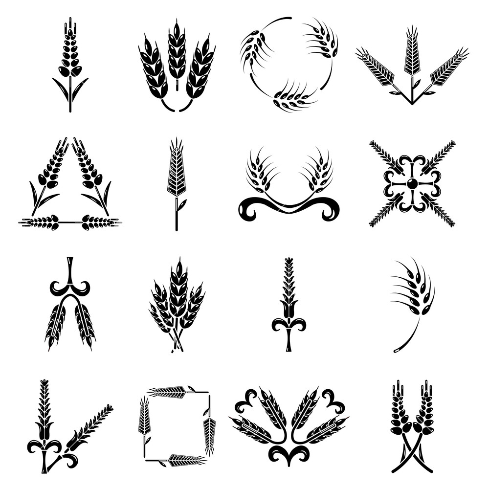 1000x1000 ear corn icons set simple illustration of ear corn vector - Ear Of Corn Drawing