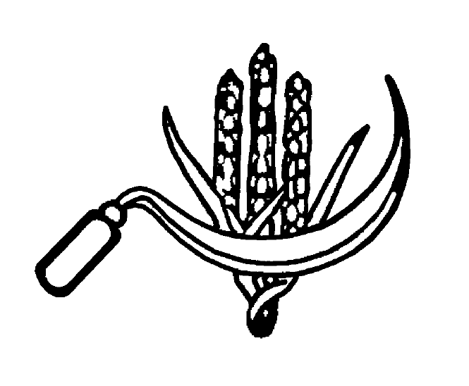 665x548 fileindian election symbol ears of corn and sickle - Ear Of Corn Drawing