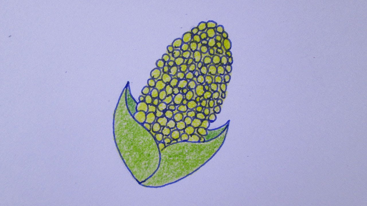 1280x720 How To Draw An Ear Of Corn - Ear Of Corn Drawing