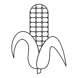 300x300 Ear Corn Royalty Free Vectors - Ear Of Corn Drawing