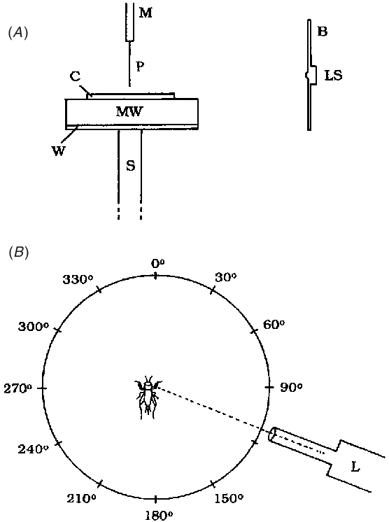 556x746 experimental set up for measuring diffraction, time delays - Eardrum Drawing