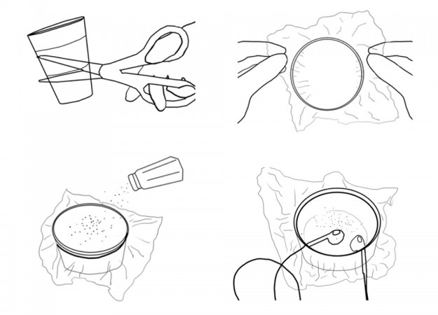625x450 make a model eardrum to detect sound waves - Eardrum Drawing