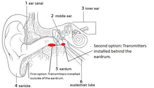 510x291 cia spying techniques - Eardrum Drawing