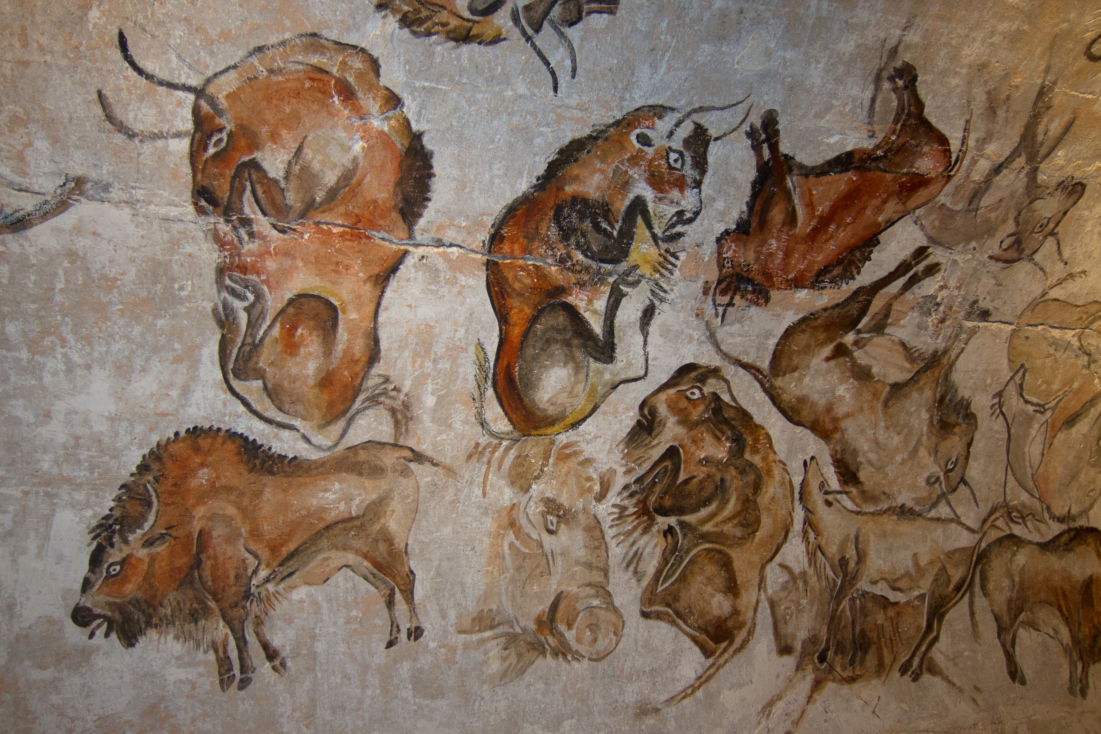 3648x2432 Cave Painting - Early Drawings