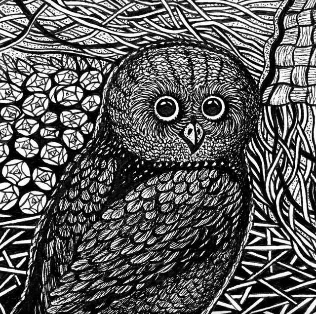 640x636 Irina Maiboroda Artwork A Fargment From Creatures Of Earth Sea - Earth Drawing Black And White