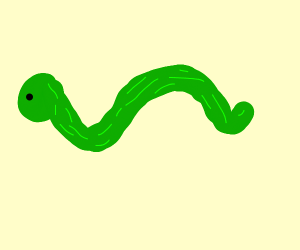300x250 Earthworm Drawing - Earthworm Drawing