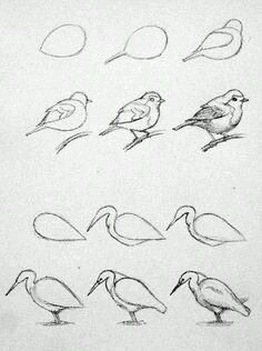 236x316 learn the easiest ways to draw birds art drawings, art, art - Easiest Drawing In The World