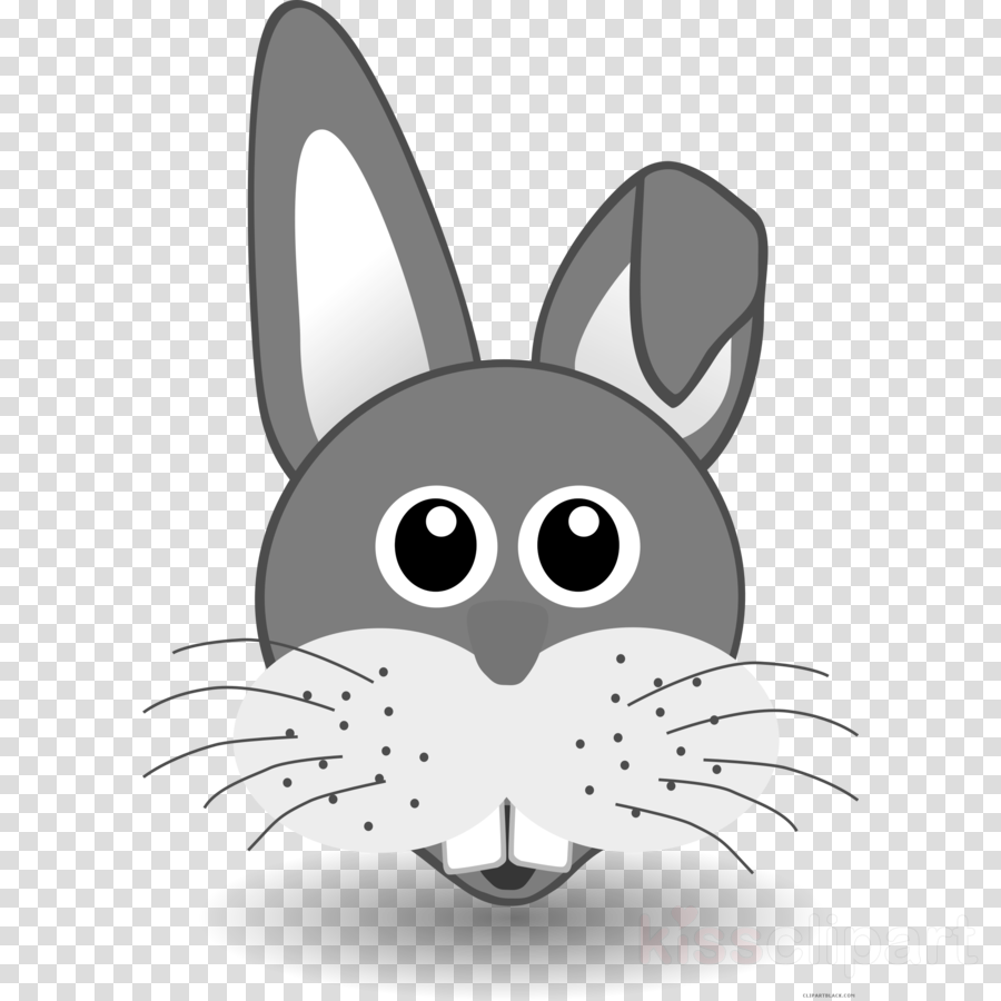900x900 Rabbit, Cartoon, Drawing, Transparent Png Image Clipart Free - Easter Bunny Cartoon Drawing