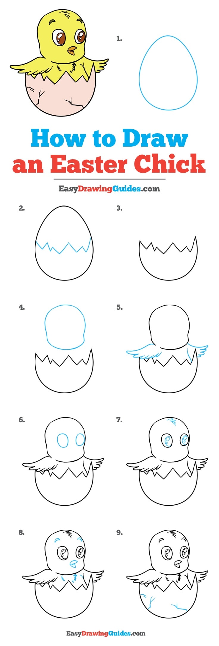 736x2163 how to draw an easter chick - Easter Chick Drawing