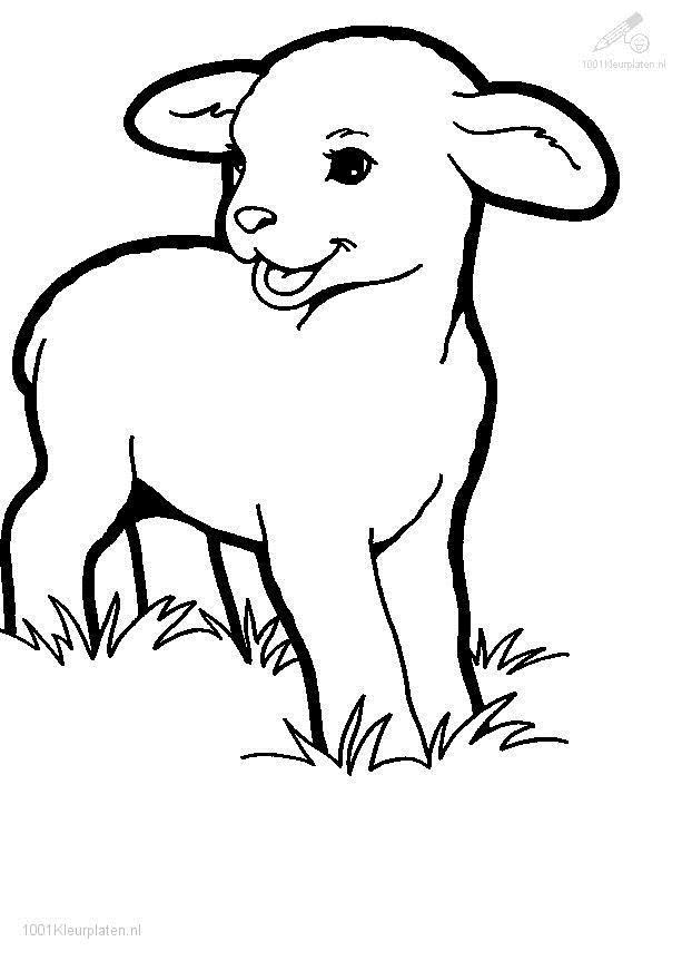 613x863 easter lamb coloring pages hd easter images - Easter Lamb Drawing