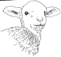 235x218 how to draw sheep lambs drawing tutorials drawing how - Easter Lamb Drawing