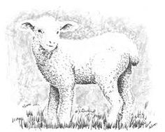 236x188 huge collection of 'easter lamb drawing' download more than - Easter Lamb Drawing