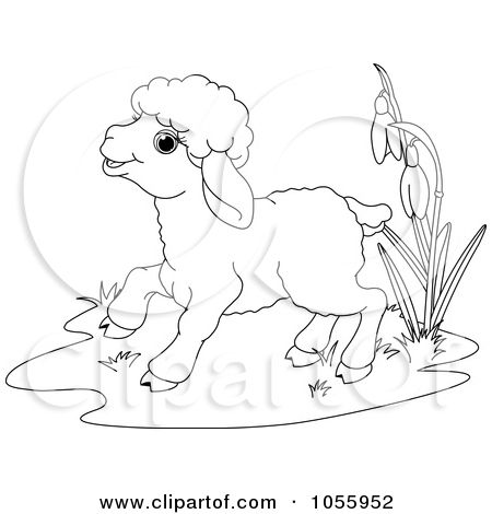 450x470 cute lamb drawing affordable how to draw a cute lamb step - Easter Lamb Drawing