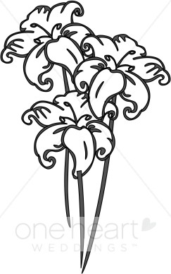 243x388 Easter Lily Line Drawing - Easter Lily Drawing