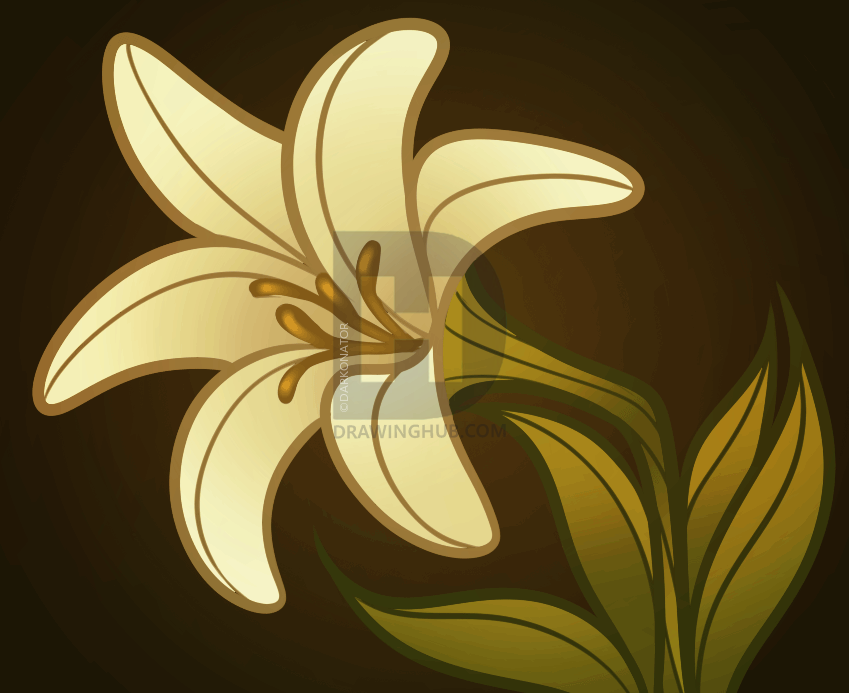 849x693 How To Draw An Easter Flower, Easter Lily, Step - Easter Lily Drawing