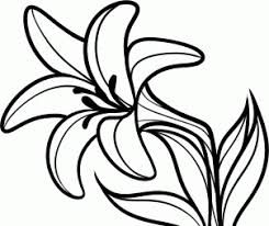 245x206 image result for easter lily clipart first communion flower - Easter Lily Drawing