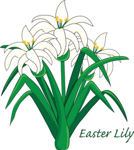269x300 Clipart Easter Free Lily - Easter Lily Drawing. 