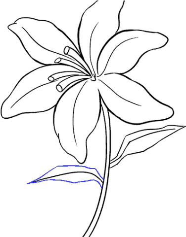 376x481 Download Drawn Lily Easter Lily - Easter Lily Drawing