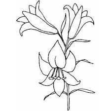 225x225 Drawn Lily Easter Lily - Easter Lily Drawing
