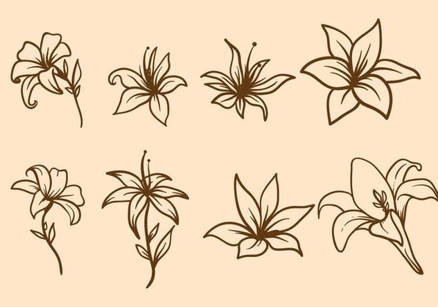 632x443 Free Easter Lily Vector Free Vector Download Cannypic - Easter Lily Line Drawing