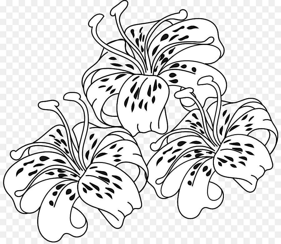 900x780 lily coloring scbu tiger lily easter lily coloring book flower - Easter Lily Line Drawing