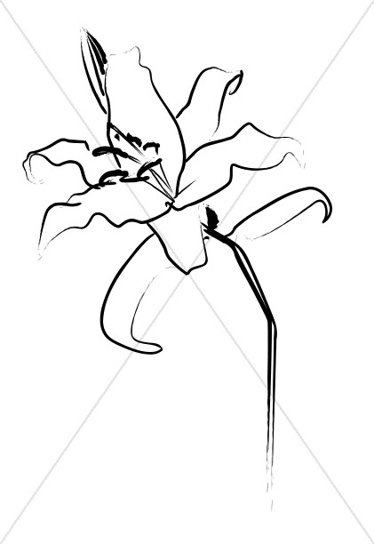421x612 Lovely Lily Line Art Easter Clipart - Easter Lily Line Drawing