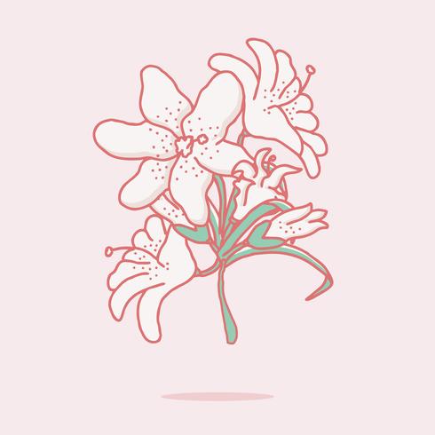 490x490 Easter Lily - Easter Lily Line Drawing